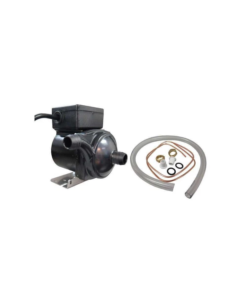Circulating Pump, Sundance, Low Flow, 230V w/Replacement Kit : 6000-125RK - Image 1 of 1