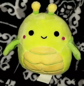 Squishmallow 5" Pilar Green Grasshopper Insect 2022 KellyToy NEU aus Boxed Set - Bild 1 von 6