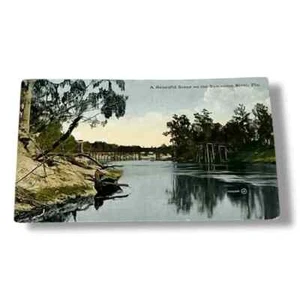 Postkarte Eine schöne Szene am Suwanee River Florida geteilte Rückseite Karte C706 - Bild 1 von 2