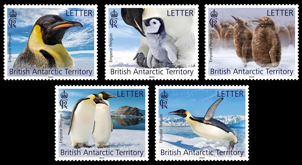 TERRITÓRIO ANTÁRTICO BRITÂNICO MORCEGO 2023 PÁSSAROS PINGUINS IMPERADOR OISEAUX - Imagem 1 de 1