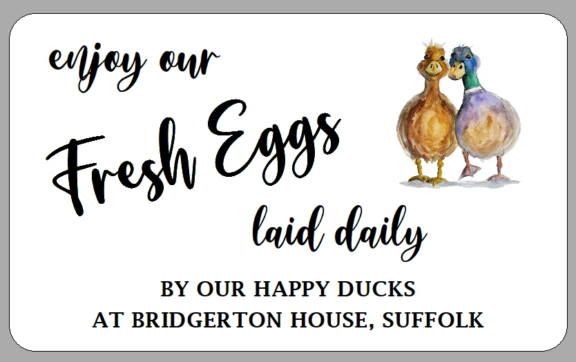 THE LITTLE LABEL COMPANY Personalised Duck Egg Box Labels Fresh Eggs from Happy Ducks Carton Box Stickers