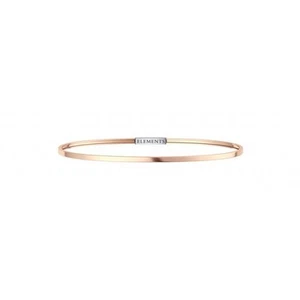 Bracciale bangle DonnaOro DFBF4109-M Argento 925 Oro rosa collezione Elements - Foto 1 di 1