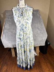 Vestido Lauren Ralph Lauren Mujer Talla 4 Azul Blanco Floral Maxi Sin Mangas Forrado - Imagen 1 de 15