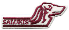 SOUTHERN ILLINOIS SALUKIS NCAA COLLEGE VINTAGE 4.5" TEAM PATCH