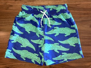 Mini Boden Board Shorts for Boys for 