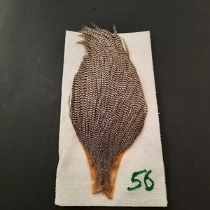 Keough Grizzly Dry Fly Hackle Neck Cape Rooster Dry Fly Tying Feathers #56 - Picture 1 of 4