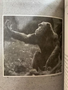 SIGNED - REASON FOR HOPE-A Spiritual Journey by JANE GOODALL (2000, Paperback) - Picture 1 of 16