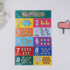 2 Pcs Children Learning Toy Kids Wall Posters Numbers Chart