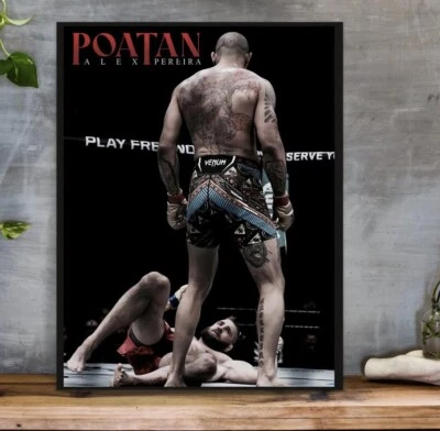 亚历克斯佩雷拉海报,UFC 300 战斗机海报 — 第 1/2 张图片