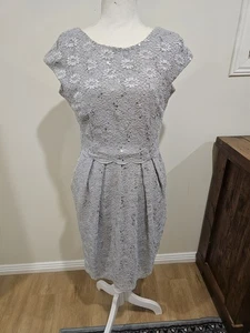 Alex Evenings Petite Lace Sequin  Dress  Size 8P  Silver Sparkle Lined - Bild 1 von 15