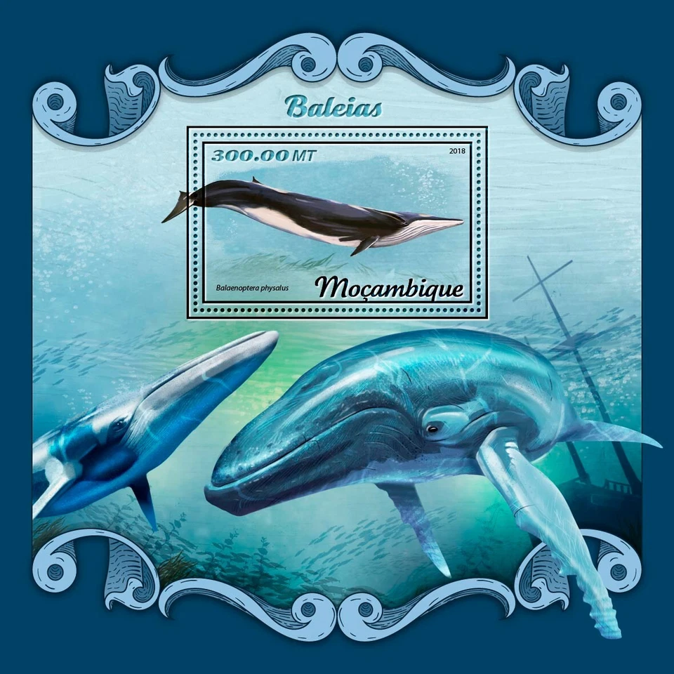 Whales MNH Stamps 2018 Mozambique S/S - Image 1 of 1