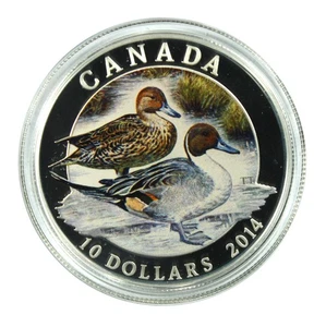 Canada 2014 $10 Fine Silver Coin .9999 The Northern Pintail - Bild 1 von 4