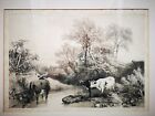 Thorn, Willow, Beech and BirchJames Duffield Harding Lithograph 1841
