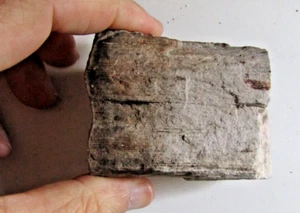 Fosil de madera (xilopalo) de los andes colombianos 176 grs - Imagen 1 de 4