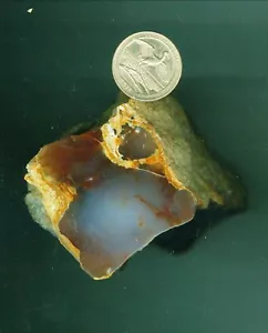 14 OZ of Champagne Agate Nice large Chunk Polished Cutting Rough Agate - Picture 1 of 1