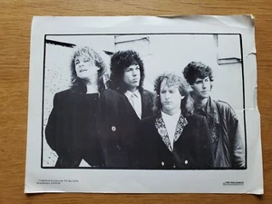 THE VOLCANOS 8x10 BLACK & WHITE Pressefoto LATE 1980's ROCK BAND - Bild 1 von 2