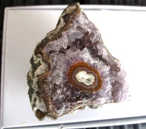 #1 AMETHYST - Rosette aus Uruguay  Druse A-Qualität 6,5 x 6,5 x 2,5 cm 113 g - Bild 1 von 5