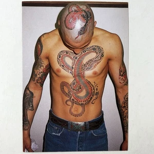 Horiyoshi Tatuajes Japoneses Yokohama Japón Vintage 1996 Museo de Ámsterdam Postal - Imagen 1 de 2