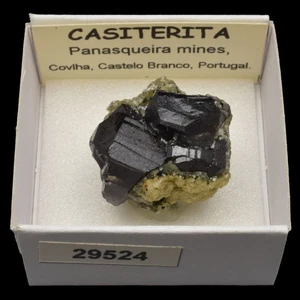 CASITERITA xx (Panasqueira mines, Castelo Branco, Portugal) #29524 / Cassiterite - Foto 1 di 1