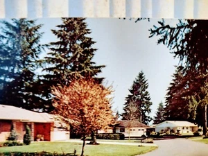PHOTO POST CARD PANORAMA CITY LACEY near OLYMPIA WASHINGTON AWESOME CARD - Picture 1 of 12