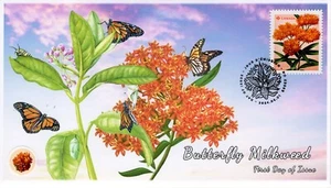 CA24-010, 2024, Wildflowers, First Day of Issue, Pictorial Postmark, P-rate, But - Picture 1 of 1