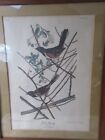 Vintage bird print colored Towhee Bunting framed matted 17" x 13"