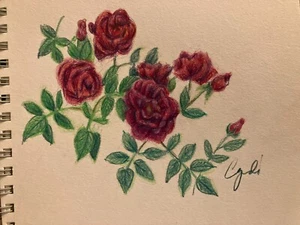 LÁPIZ DE COLORES dibujo rosas - Imagen 1 de 1