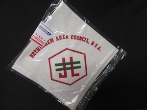 Pañuelo de entrenamiento líder junior del Consejo del Área de Belén GA12 - Imagen 1 de 1