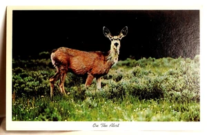 Grüße aus Ellenton PA - Hirsch auf Alarm Postkarte - Bild 1 von 2