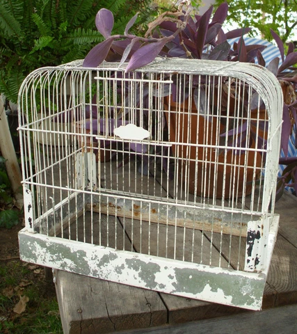 Old Crown Antique Bird Cage Birdcage Tray Metal Painted Domed Decorative White Cover