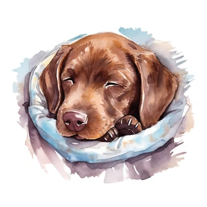 Autoaufkleber Sticker Labrador Aufkleber - Picture 1 of 1