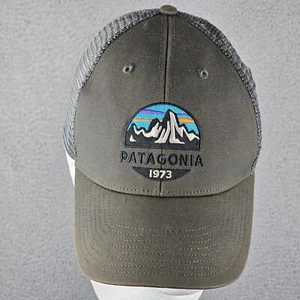 Cappello Patagonia Fitz Roy Scope Lopro Snapback Cap Pesca Gorpcore - Foto 1 di 9