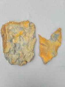 Annularia, Calamite And Fern Fossils In Amazing Detail  - Picture 1 of 10