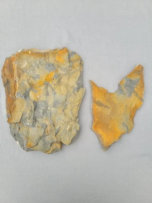 Annularia, Calamite And Fern Fossils In Amazing Detail  - Image 1 of 4