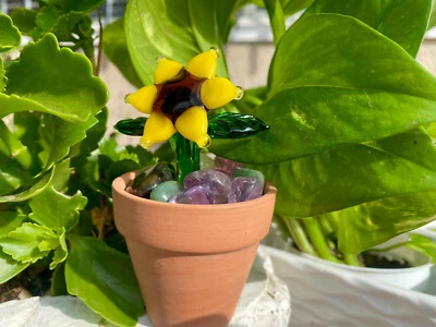 Maceta de vidrio para sol arte decorativo en vidrio (hecho a mano) decoración de plantas de cristal Foto 1 de 4