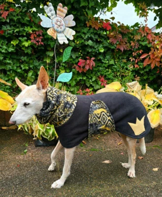 Windhundmantel Polarfleecemantel für Podenco, Whippet, Pintscher - Bild 1 von 2