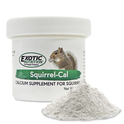 EXOTIC NUTRITION Squirrel-Cal (3.5 oz.) - Healthy Calcium Supplement - For Pet Squirrels