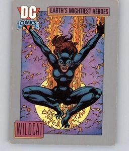 Tarjeta coleccionable de superhéroes Wildcat DC Comics serie 1992 #78 - Imagen 1 de 2