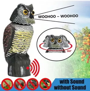 Señuelo de búho realista con cabeza giratoria de sonido repelente de jardín al aire libre susto de aves - Imagen 1 de 21