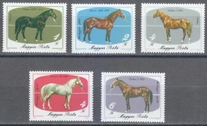 Hungary 1985 MNH Mi 3766-3770 Sc 2932-2936 Horses ** - Picture 1 of 2