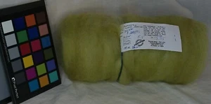 Variegated Lt Green romney wool roving spinning felting weaving fiber art - Picture 1 of 3