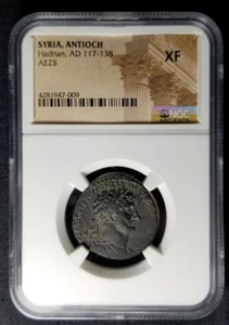 Roman Provincial coin AE25 of Emperor Hadrian from Antioch NGC XF 7009 - Picture 1 of 3