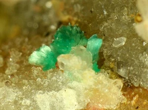 MIXTA Y EMPLECTITA de Wittichen, Alemania * RARO Bi MINERALES * 4,9 cm - Imagen 1 de 7