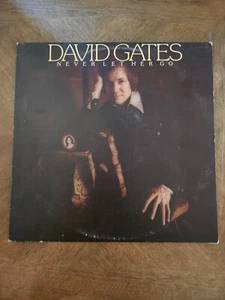 DAVID GATES - NEVER LET HER GO - VINYL LP 1975 ELEKTRA RECORDS 7E-1028 - Foto 1 di 4