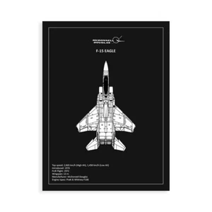 Stampa su Tela su Carta Poster o Quadro Rogan Mark BP F15 Eagle Black - Imagen 1 de 2