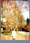 Found Color Photo P9453 Pretty Woman In Dress Sitting On Wall By Tree