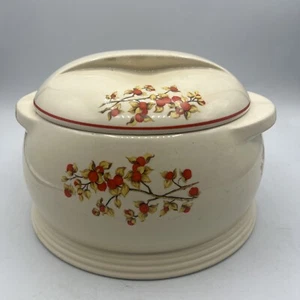 Universal Cambridge USA Mid Century BITTER SWEET 2.5 Qt Covered Casserole Lid GC - Picture 1 of 5