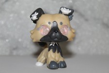 lps glass eye customs