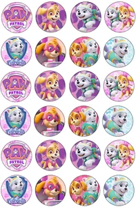 24 x PAW PATROL Cupcake Toppers Edible Wafer Paper Birthday Cake SKYE EVEREST - Picture 1 of 1