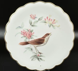 Mint in Box Birds of Dorothy Doughty Dessert Plate ~ Nightingale & Honeysuckle - Picture 1 of 6